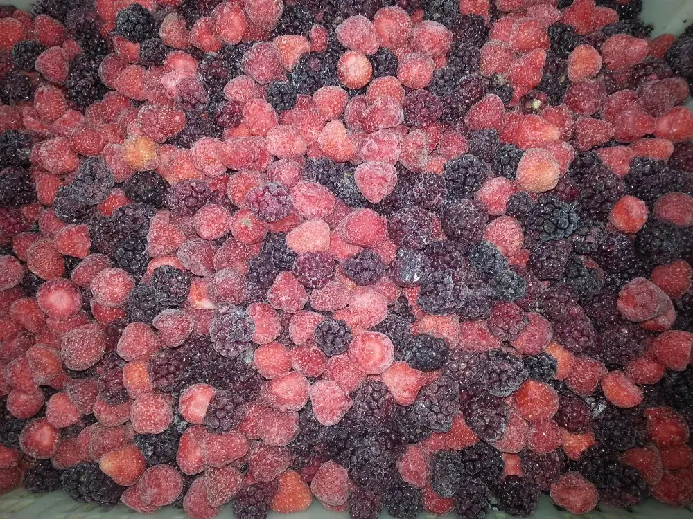 Iqf Erdbeeren gefrorenes Gemüse und Obst Qualitäts auswahl Erschwing liche gemischte Beeren