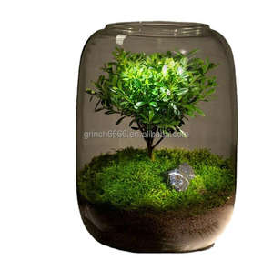 <span class=keywords><strong>Terrarium</strong></span> en verre 2023 plantes botaniques vase globe <span class=keywords><strong>terrarium</strong></span> kit produits de jardin - Product Image 3
