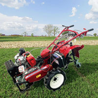 Semoir manuel électrique à rouleaux 220V pour maïs, soja, arachides et légumes – Machine de semis portative pour la ferme