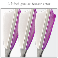 Flèches en carbone anti-crevaison True Feather Mix, conçues avec précision pour l'entraînement et la chasse, flèches pour arcs à poulies et arcs classiques
