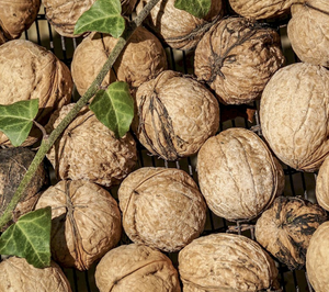 Demi-noyaux de noix du Yunnan frais Récolte 2026 Sacs sous vide 5kg Boîte DIY Logo personnalisé Approvisionnement fiable Exportation chinoise Direct usine - Product Image 4