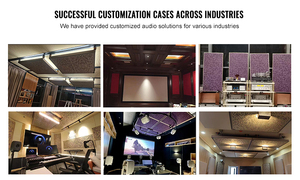 Dubbele 10 inch passieve tweeweg <span class=keywords><strong>line</strong></span> <span class=keywords><strong>array</strong></span> luidsprekermodule 1400W vermogen <span class=keywords><strong>8</strong></span> Ohm surround sound audiosysteem - Product Image 5