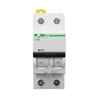 Disjoncteur miniature Schneider IC65N 2P 1A Courbe C, déclenchement thermique-magnétique, protection contre les surcharges et les courts-circuits, contrôle industriel