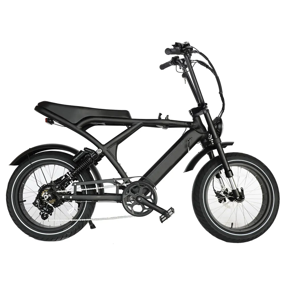 2024 neu europa holland retro beach cruiser mobilität 250w phatfour moped fat tire elektrofahrrad fahrrad la souris e-bike fahrrad