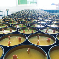 Machine à couler la cire Dongguan Yide, machine à fabriquer des bougies, machine à fondre et à remplir la cire cosmétique, petite semi-automatique, capacité 100L/2h, demi-automatique