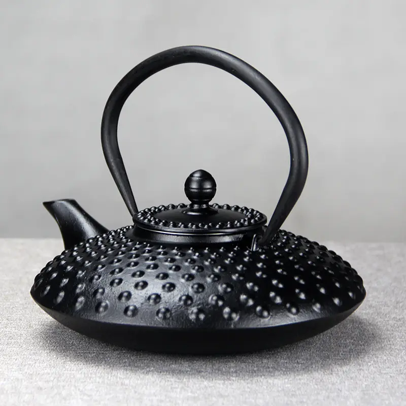 إبريق شاي ياباني من الحديد الزهر مزود بنقع لصق الأوراق الشجر والأكياس، غلاية تتضمن مقبض وغطاء قابل للإزالة (أسود، 800 مل)