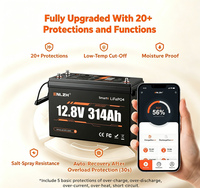 Batterie lithium-ion rechargeable Enlzh Deep Cycle 12V 314AH avec Bluetooth LiFePO4 pour camping-car avec connecteurs US EU CA AU JP DE