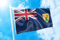 Nouvelle bannière de drapeau national des îles Turques et Caïcos de 3x5 pieds pour décorations extérieures