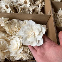 Diffuseur de fleurs en bois Sola, diffuseur de fleurs Sola personnalisé, fleurs en bois Sola en gros, bâtonnets diffuseurs avec fleurs
