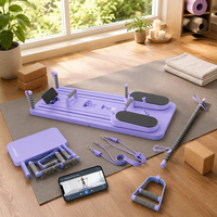 Nouvelle planche abdominale multifonctionnelle avec rebond automatique, ensemble de planches de Pilates portables avec logo personnalisé, matériau PP