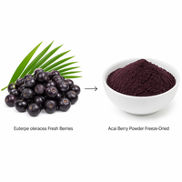 Poudre de baies d'açaï en vrac LCHBIO, lyophilisée, Euterpe Oleracea, fruit entier, antioxydant naturel, anthocyanine, qualité Chine/USA