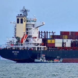 Самые дешевые тарифы на доставку по воздуху/морским грузовым перевозкам Китай в США/Европу экспедитор Ddp - Product Image 3