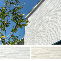 Panneau de bardage en fibrociment 100 % sans amiante 16 mm 3030*455 mm, design moderne pour revêtement extérieur de villa, ignifuge et imperméable