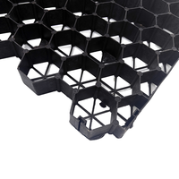 Chine Fabricant Fourniture HDPE Grass Grid Tailles et couleurs personnalisées Service OEM ODM disponible