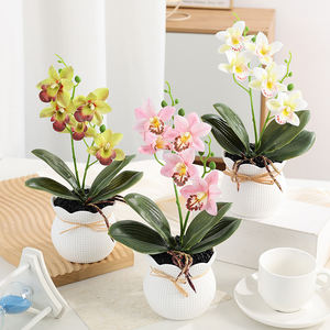 Planta Artificial de Magnolia en Maceta de Seda para Decoración del Hogar, Regalo Hecho a Mano para el Año Nuevo <span class=keywords><strong>Chino</strong></span> y Graduación - Product Image 1