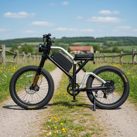 Fabricant OEM fiable, vélo électrique puissant longue portée 72v 3000w pour adultes, adapté aux terrains montagneux