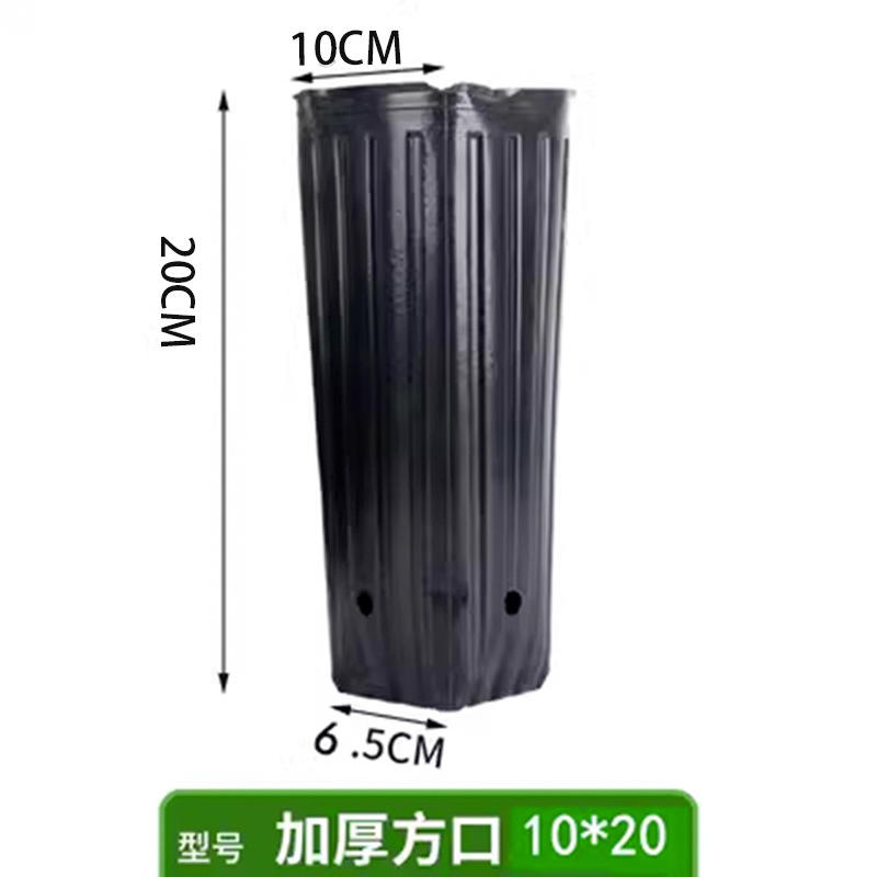 Gobelet carré 10x20