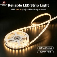 Lampu Strip LED Fleksibel DC24V 192LEDs/m SMD2835 Kecerahan Tinggi, Suhu Warna 3000K-6000K, Pencahayaan Lanskap Berbahan Tembaga.