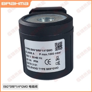 Ensemble d'électrovannes BRAHMA E6G*SR8*3/8GMO E6G*SR10*3/8GMO E6G*S10*3/8*GFD, structure personnalisable OEM - Product Image 2