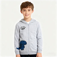 Sweat à capuche tendance pour garçons, motif de dinosaure, sweat à capuche mignon, sweat-shirt décontracté personnalisé, veste zippée pour enfants, printemps automne
