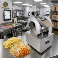 Elektrische commerciële multifunctionele snij- en raspmachine voor gember, cassave, koriander, plantain, aardappelchips en wortel