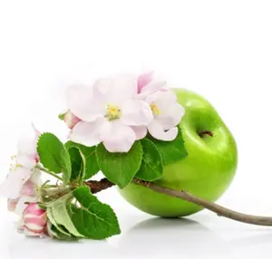 cidra de maçã Suppliers-Preço de fábrica para vinagre de apple extrato
