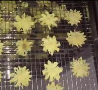Hete Verkoop Roestvrijstalen Vezel Palm Kernel Droger Machine Automatische Droogoven Van China Leverancier Voor Voedselverwerking