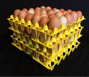 Fabricant chinois avec des cartons d'œufs empilables à des prix <span class=keywords><strong>moins</strong></span> chers qui contiennent plusieurs œufs - Product Image 6