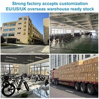 Vélo de montagne électrique personnalisable de 20 pouces, stock UE/US, batterie au lithium 250W, frein à disque, cadre en alliage d'aluminium, vélo à pneus larges