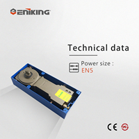 Eniking EK-2400 300kg EN5 Cierrapuertas Hidráulico de Piso de Cilindro Único de Acero Inoxidable de Alta Resistencia Moderno Ajustable CE