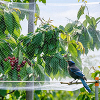 Filet anti-oiseaux robuste de 1 pouce pour la gestion de la faune sauvage du cacaoyer, la protection des vergers et le contrôle des vignobles