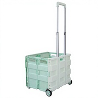 Chariot de courses pliable Uni-Silent Mini à 2 roues, silencieux, en plastique, chariot de rangement, chariot pour monter les escaliers FST25A