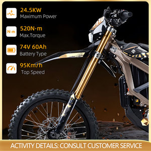 Moto électrique tout-terrain pour adultes Ultra Bee 2, vitesse maximale de 80 km/h, batterie 74V 60Ah, moteur 24,5KW, modes multi-puissance - Product Image 1