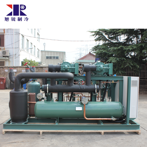 HSN7471-75 Làm Mát Bằng Không Khí Nhiệt Độ Thấp 2 Máy Nén Trục Vít Paralled Đơn Vị Ngưng Tụ Paralled - Product Image 6