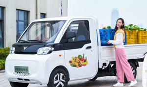 Venta caliente EEC Entrega Camioneta Eléctrica Scooter con contenedor de carga Scooter de cabina cerrada eléctrica - Product Image 2