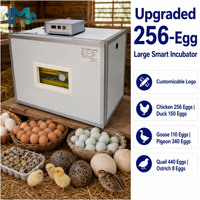 Incubadora de Aves de Corral Automática de Acero Inoxidable de Alta Capacidad para 256 Huevos, Doble Alimentación de Respaldo, Control Inteligente de Temperatura para Pollos y Patos