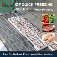IQF Tunnelvriezer Vriesapparatuur Tunnel Blast Freezer Fabriek Geleverde Diepvries Lam/Sardine Vis Machine Te Koop