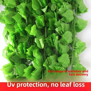 Vente en gros de feuilles de vigne artificielles, lianes de lierre, plantes en plastique, <span class=keywords><strong>d</strong></span>écoration <span class=keywords><strong>d</strong></span>'<span class=keywords><strong>intérieur</strong></span>, modèle A-008 - Product Image 3