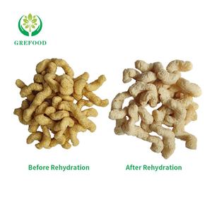 לא gmo tvp תזונה משפרי של חלבון צמחי טקסטורה שומן סויה נמוכה חלבון סויה לצמחונים - Product Image 2