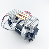 Équipement de santé médicale PF-8501PM Double compresseur d'air sans huile-85kpa 30lpm DC12V/24V pompe à Piston en fer en acier inoxydable alimentaire
