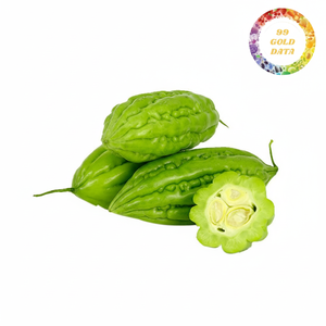 แตงโมขมแช่แข็งมะระจากเวียดนาม | สำหรับทำอาหารและดีท็อกซ์ - Product Image 1