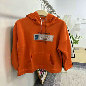 3.05 Dollar modèle FYK219 <span class=keywords><strong>gratuit</strong></span> polaire unisexe hommes épais polaire 500gsm poids lourd coton pull femmes sweats à capuche - Product Image 1