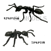 Modelos SL de Alta Calidad, Figura de Hormiga de Plástico Sólido Realista, Modelo Educativo, Producto Terminado, para Niños de 4 a 12+ Años, Unisex
