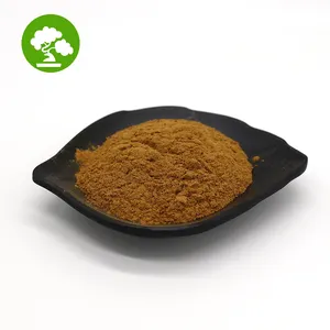 Top Quality Needle Mushroom Extract Enokitake Extract Flammulina Velutiper Extract