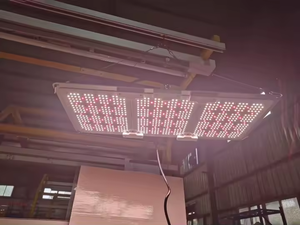 מותג jk הוביל נודולקים מנורה גדילה צמח מקורה עמיד למים מלא פלטינה ספקטרום מלא נורות הוביל שבב 300w לגדול אור - Product Image 4