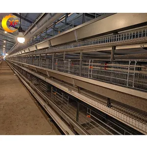 Fully Automatic Raising Chicken Equipment Vertical Large Stacked 3 Tier 4 Tier Hot-Dip Galvanized Layer Cage