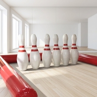 Boule de bowling gonflable de parc d'attractions pour des enfants et des adultes sur la terre/neige