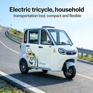 Triciclo Eléctrico Doméstico de Doble Puerta, Coche Pequeño para Mujeres, Nueva Energía, 4 Pasajeros, Carro de Transporte de Carrocería Cerrada - Product Image 2