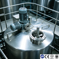 Tanque de Producción de Cerveza de Acero Inoxidable Sanitario con Certificación CE de 200L, Fabricante Personalizado