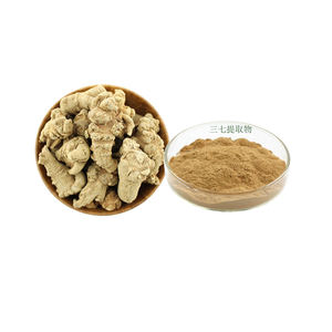 Radix <span class=keywords><strong>Notoginseng</strong></span> P.E 20:1Radix <span class=keywords><strong>Notoginseng</strong></span> Extrait Poudre 10:1 - Product Image 1